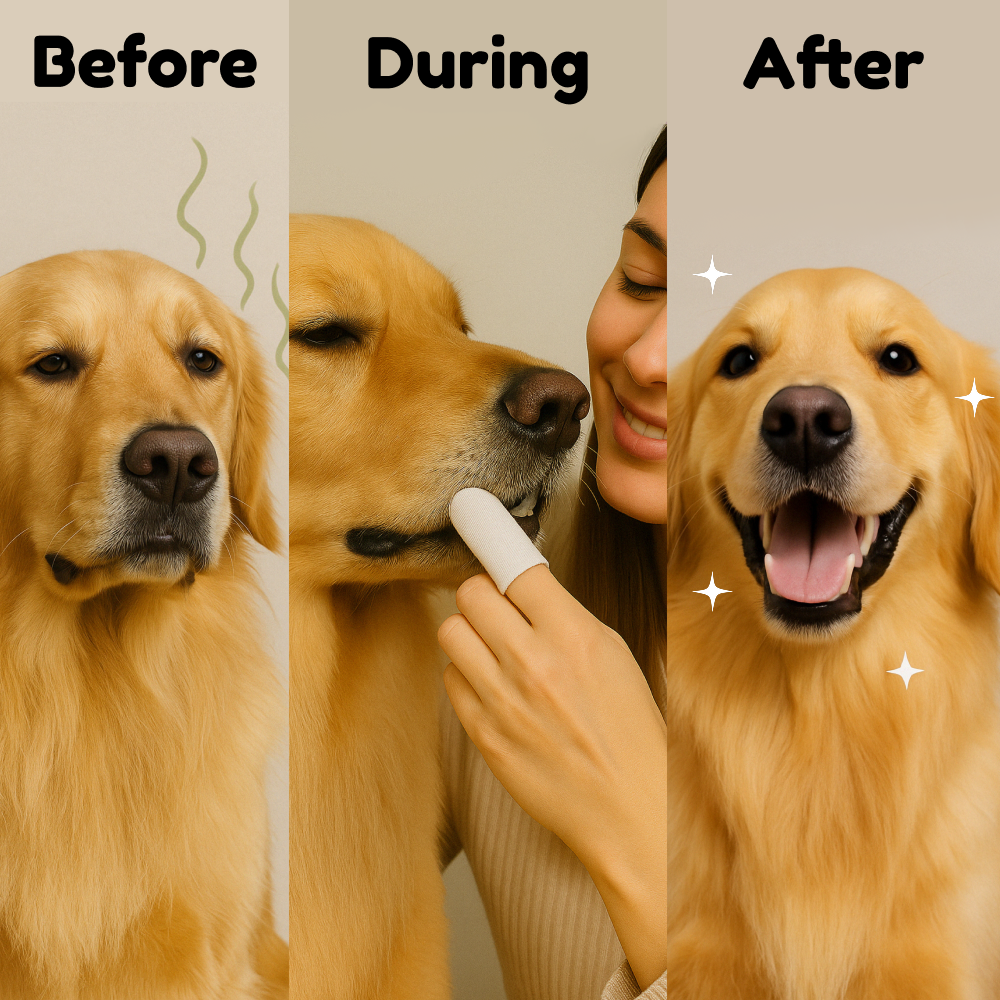 Bark Bright Wipes™