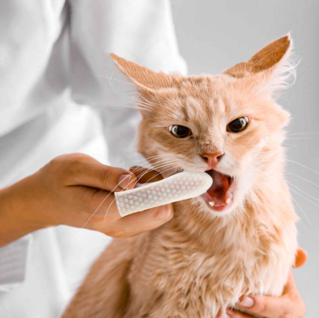 Bark Bright Wipes™