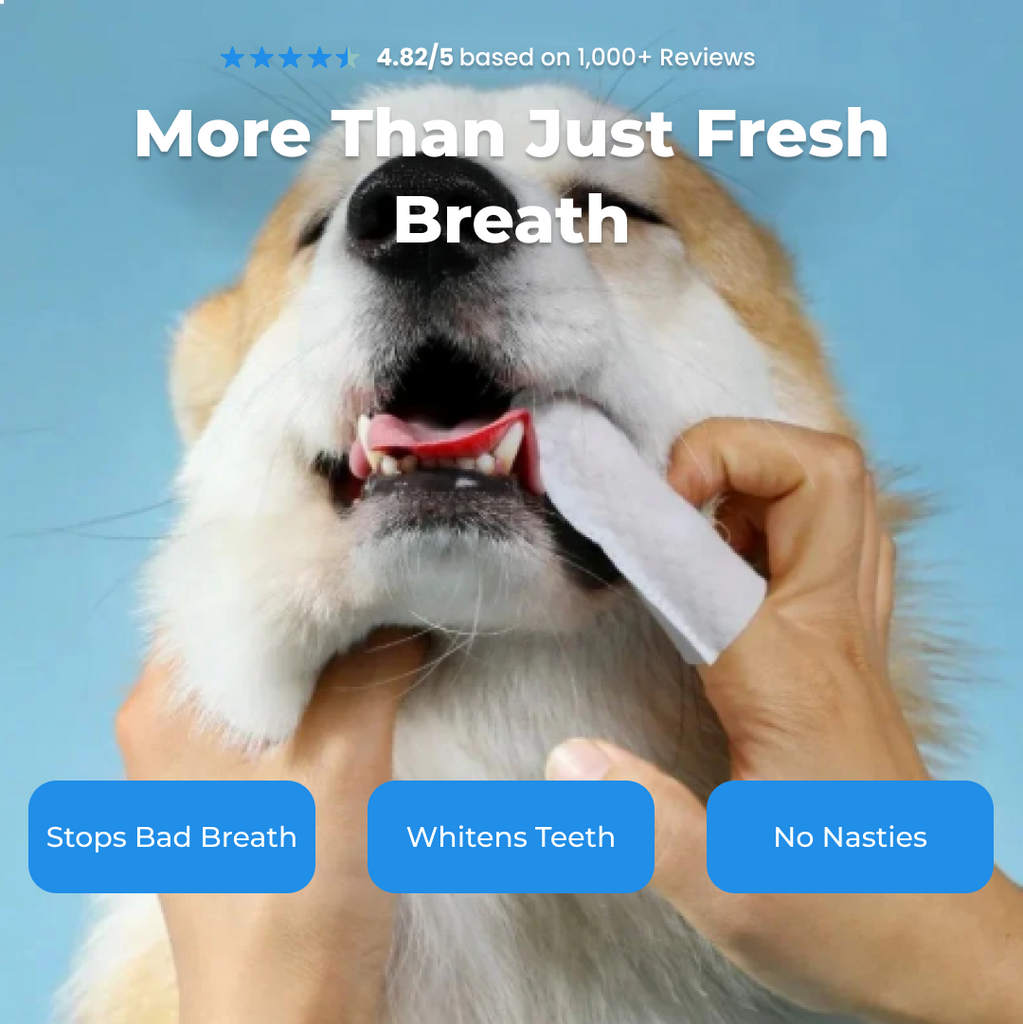 Bark Bright Wipes™